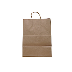 Solupac Take Out Twist Handle Bag, 12 x 9 x 15.75, Natural Kraft, 200/Carton (TKNTAOUDE)