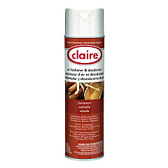 Aerosol Air Freshener And Deodorizer, Cinnamon, 10 Oz Aerosol Spray, 12/carton