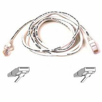 RJ-45 Male Network - RJ-45 Male Network - 5ft - White