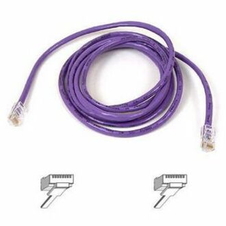 RJ-45 Male Network - RJ-45 Male Network - 10ft - Purple