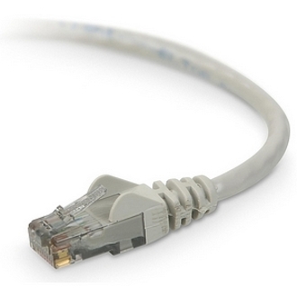 RJ-45 Male - RJ-45 Male - 25ft