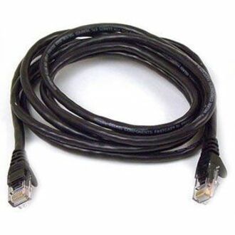 RJ-45 Male - RJ-45 Male - 3ft