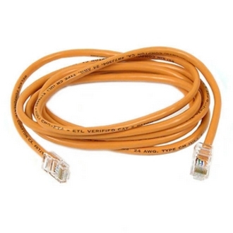 RJ-45 Male - RJ-45 Male - 1ft - Orange