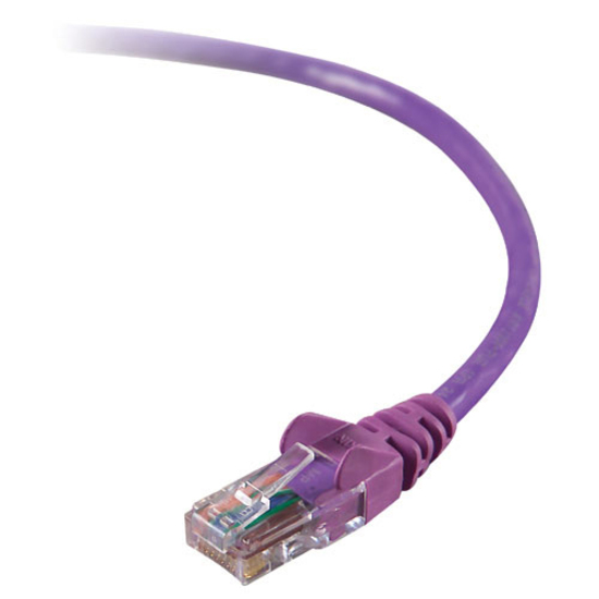 RJ-45 Male Network - RJ-45 Male Network - 12ft - Purple