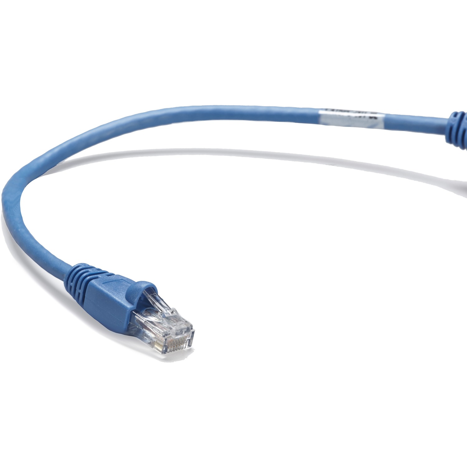 1 ft Category 5e Network Cable for Network Device - First End: 1 x RJ-45 Network - Male - Second End: 1 x RJ-45 Network - Male - 1 Gbit/s - Patch Cable - Gold Plated Contact - CM - 26 AWG - Blue