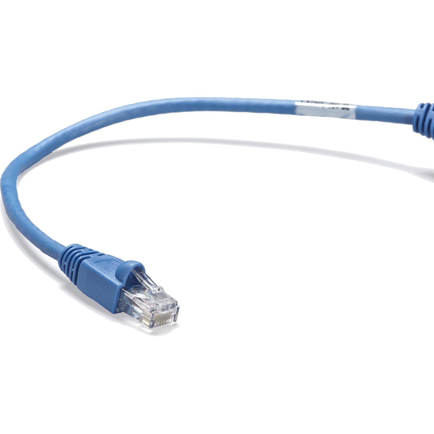 1 ft Category 6 Network Cable for Network Device - First End: 1 x RJ-45 Network - Male - Second End: 1 x RJ-45 Network - Male - 1 Gbit/s - Patch Cable - Gold Plated Contact - CM - 26 AWG - Blue