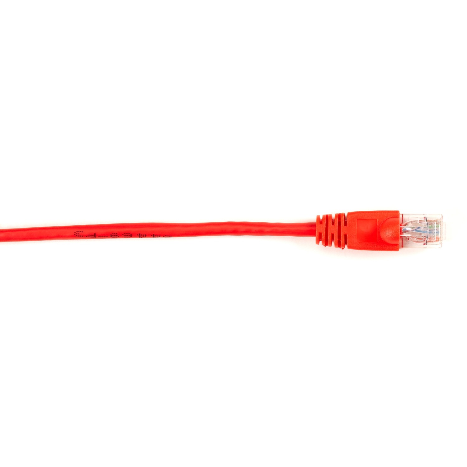 1 ft Category 6 Network Cable for Network Device - First End: 1 x RJ-45 Network - Male - Second End: 1 x RJ-45 Network - Male - 1 Gbit/s - Patch Cable - Gold Plated Contact - CM - 26 AWG - Red