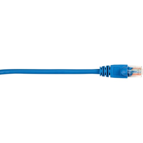 4 ft Category 5e Network Cable for Network Device - First End: 1 x RJ-45 Network - Male - Second End: 1 x RJ-45 Network - Male - 1 Gbit/s - Patch Cable - Gold Plated Contact - CM - 26 AWG - Blue