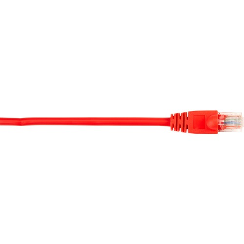 6 ft Category 5e Network Cable for Network Device - First End: 1 x RJ-45 Network - Male - Second End: 1 x RJ-45 Network - Male - 1 Gbit/s - Patch Cable - Gold Plated Contact - CM - 26 AWG - Red