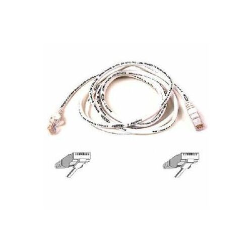 RJ-45 Male - RJ-45 Male - 6ft - White