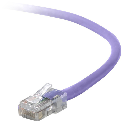 RJ-45 Male - RJ-45 Male - 4ft - Purple