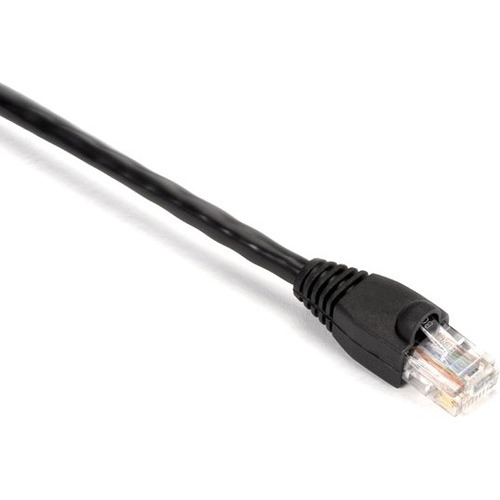 RJ-45 Male - RJ-45 Male - 10ft - Black