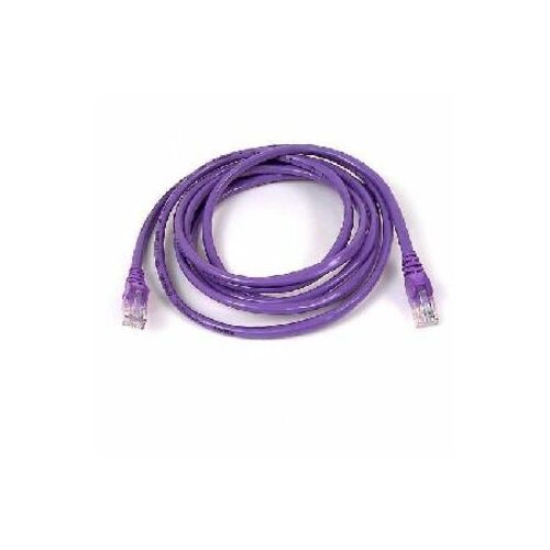 RJ-45 Male - RJ-45 Male - 1ft - Purple