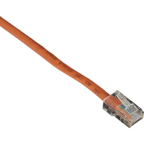RJ-45 Male - RJ-45 Male - 3ft - Orange