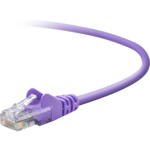 RJ-45 Male - RJ-45 Male - 6ft - Purple
