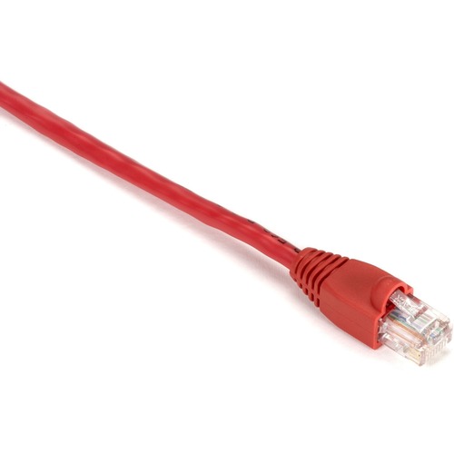 RJ-45 Male - RJ-45 Male - 1ft - Red