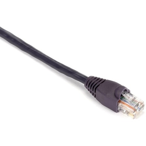 RJ-45 Male - RJ-45 Male - 100ft - Purple