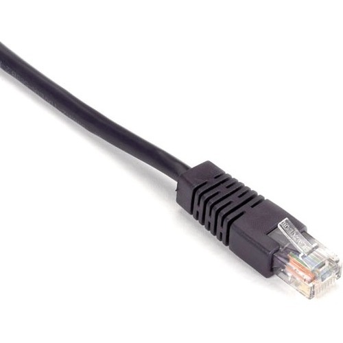 RJ-45 Male - RJ-45 Male - 10ft - Purple