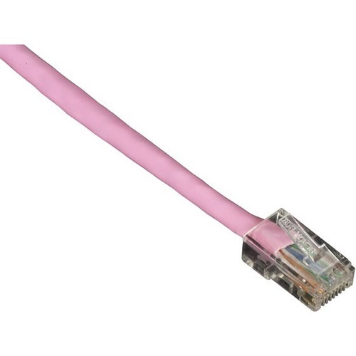 RJ-45 Male - RJ-45 Male - 50ft - Pink
