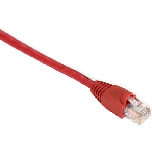 RJ-45 Male - RJ-45 Male - 7ft - Red