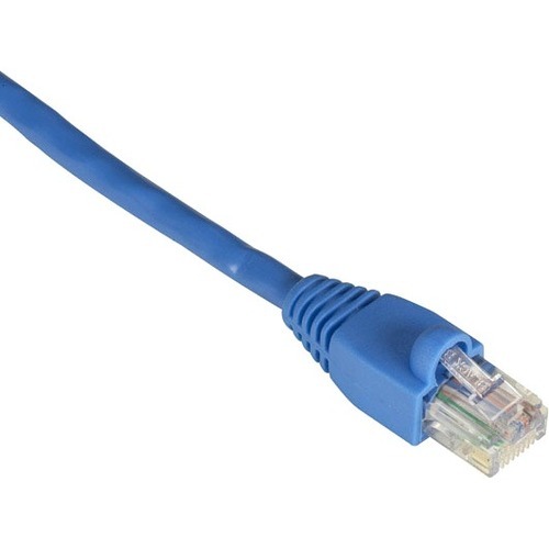 RJ-45 Male - RJ-45 Male - 6ft - Blue