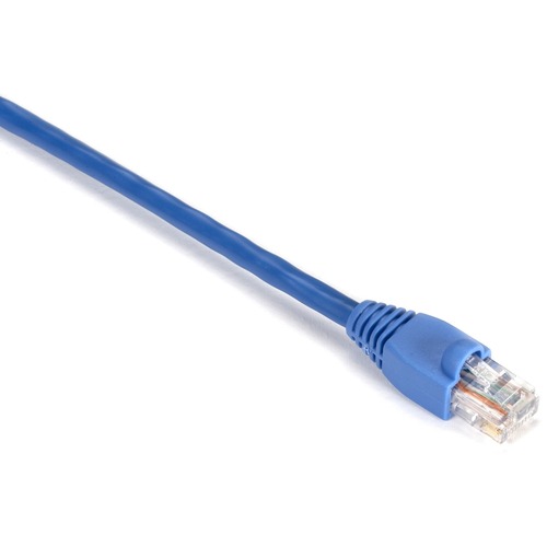 Black Box Gigabase Cat. 5E UTP Patch Cable (EVNSL810001) RJ-45 Male - RJ-45 Male - 1ft - Blue
