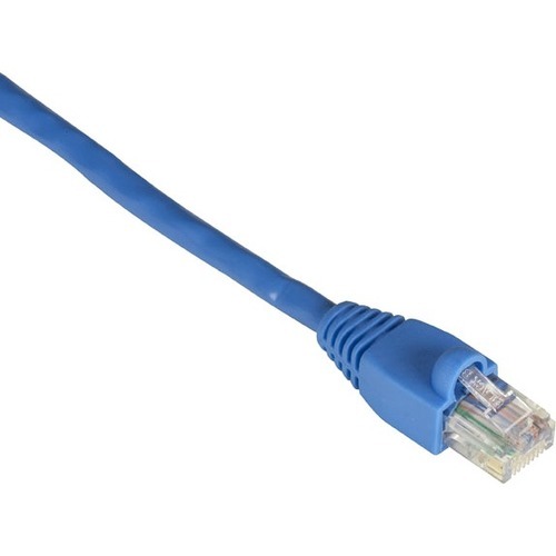 RJ-45 Male - RJ-45 Male - 10ft - Blue