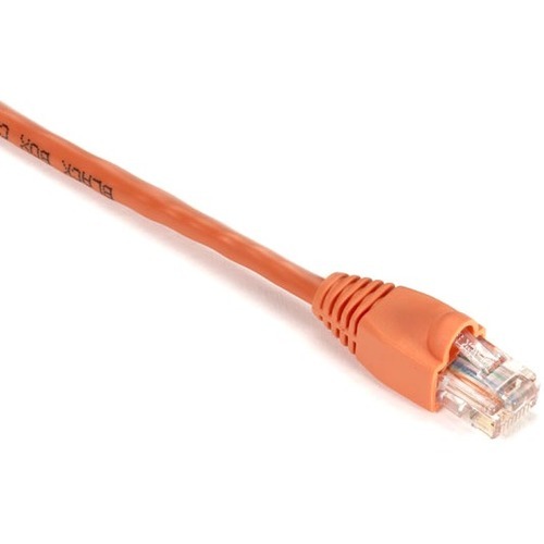 RJ-45 Male - RJ-45 Male - 20ft - Orange