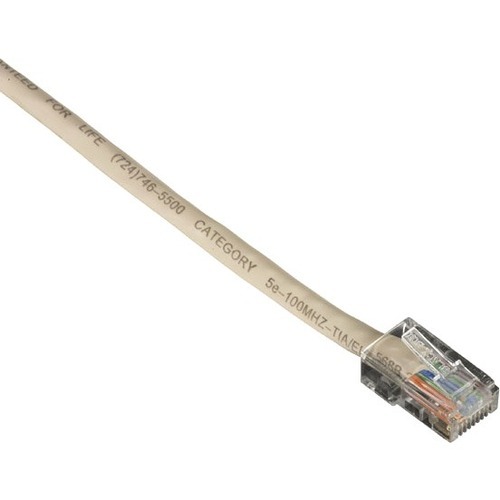 RJ-45 Male - RJ-45 Male - 5ft - Beige