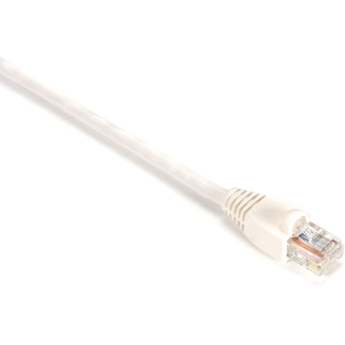 Black Box Gigabase Cat. 5E UTP Patch Cable (EVNSL900001) RJ-45 Male - RJ-45 Male - 1ft - White