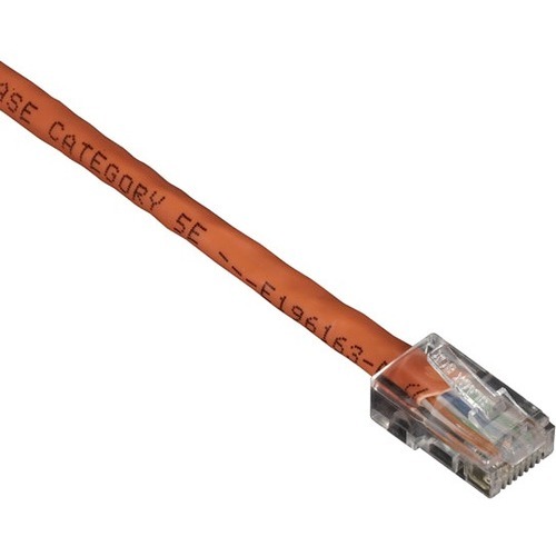 RJ-45 Male - RJ-45 Male - 100ft - Orange