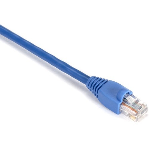 RJ-45 Male - RJ-45 Male - 20ft - Blue