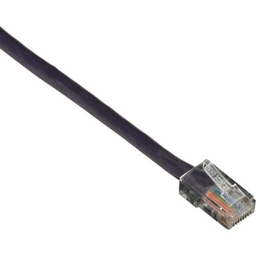 RJ-45 Male - RJ-45 Male - 6ft - Purple