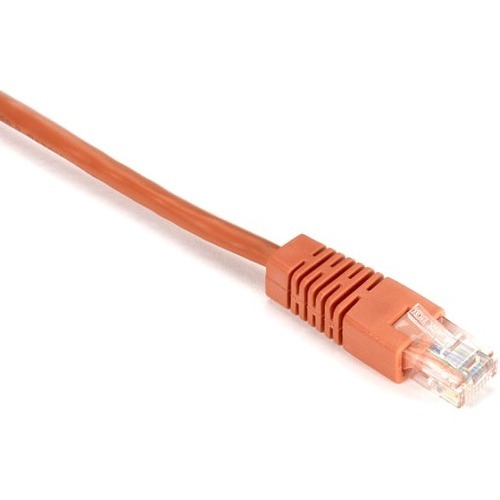 RJ-45 Male - RJ-45 Male - 50ft - Orange