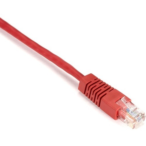 RJ-45 Male - RJ-45 Male - 20ft - Red