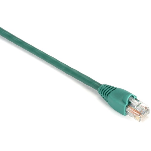RJ-45 Male - RJ-45 Male - 1ft - Green