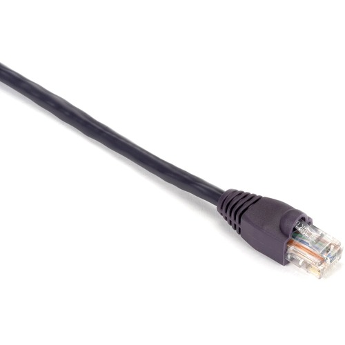 RJ-45 Male - RJ-45 Male - 1ft - Purple
