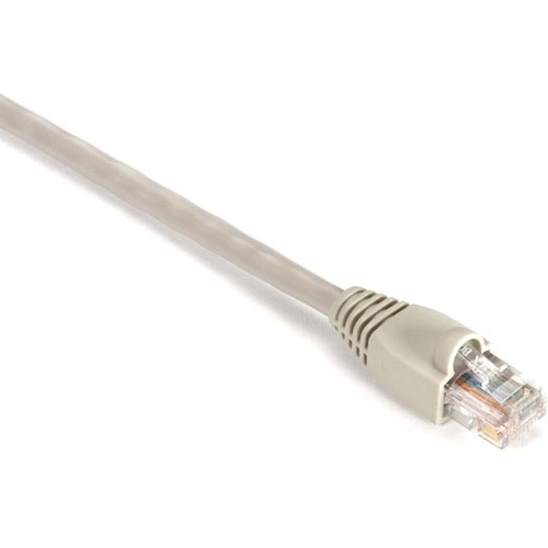 RJ-45 Male - RJ-45 Male - 4ft - Beige