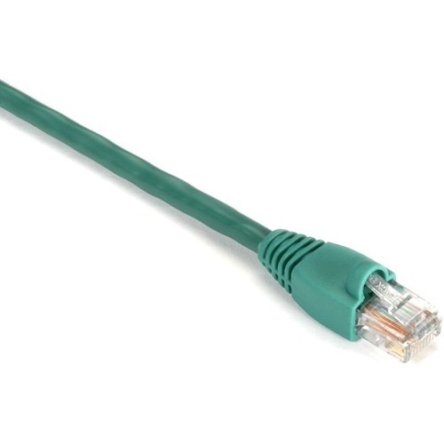 RJ-45 Male - RJ-45 Male - 100ft - Green