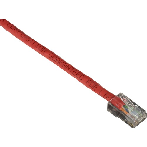 RJ-45 Male - RJ-45 Male - 3ft - Red