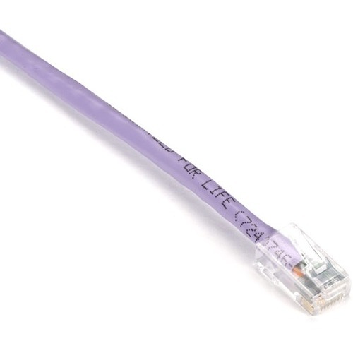 RJ-45 Male - RJ-45 Male - 6ft - Lilac