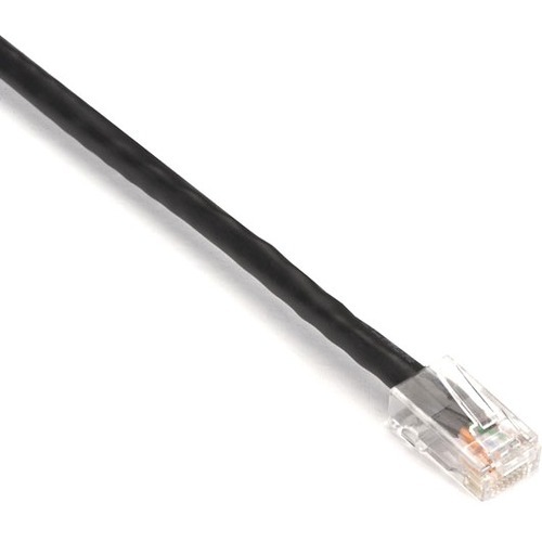 RJ-45 Male - RJ-45 Male - 100ft - Black