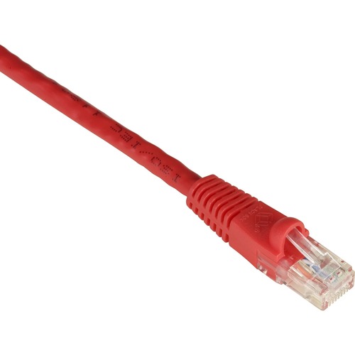 RJ-45 Male - RJ-45 Male - 3ft - Red