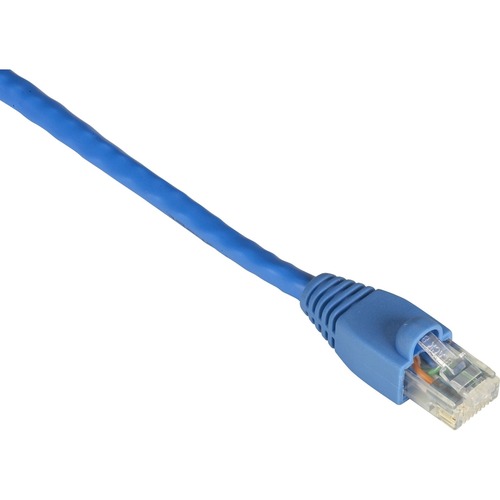 RJ-45 Male - RJ-45 Male - 3ft - Blue