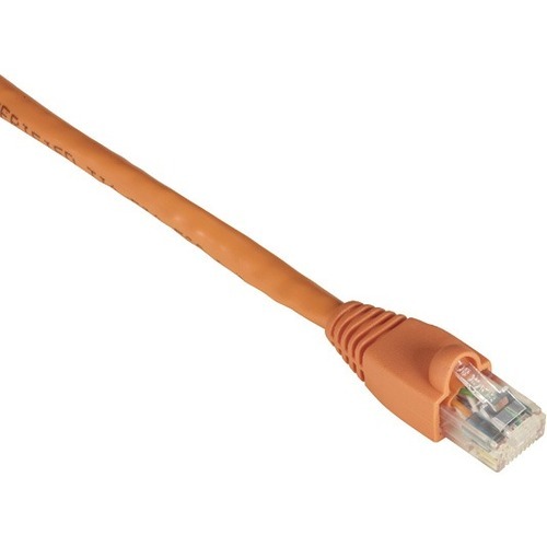 RJ-45 Male - RJ-45 Male - 25ft - Orange