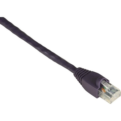 RJ-45 Male - RJ-45 Male - 3ft - Purple