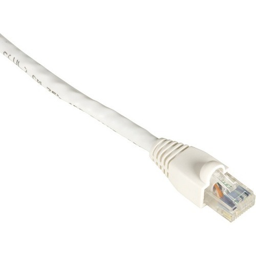 RJ-45 Male - RJ-45 Male - 50ft - White