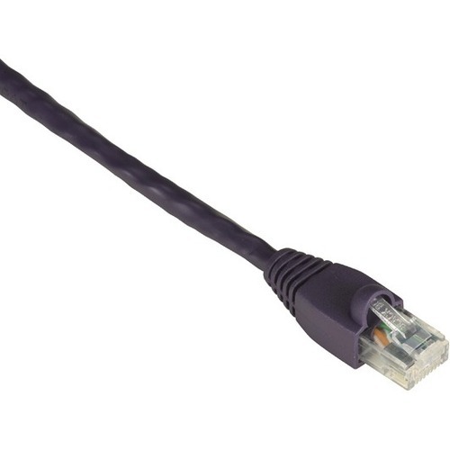 RJ-45 Male - RJ-45 Male - 10ft - Purple