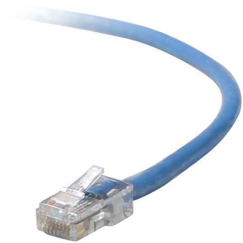 RJ-45 Male - RJ-45 Male - 12ft - Blue