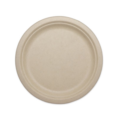 PLATE,FIBER,10",800/CT,NT